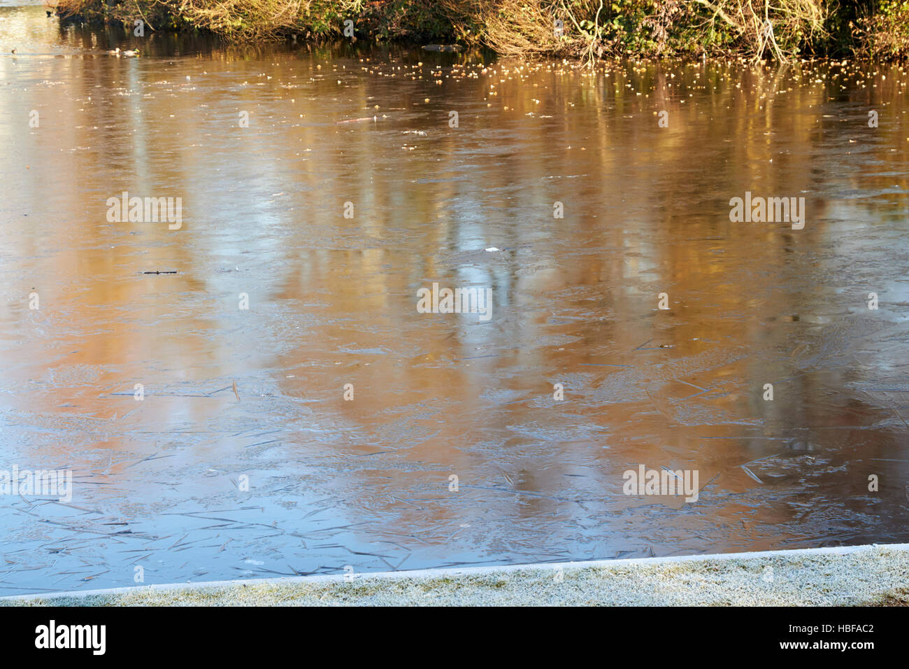 Laghetto Congelato stagno su un freddo inverno mattina nel Regno Unito Foto Stock