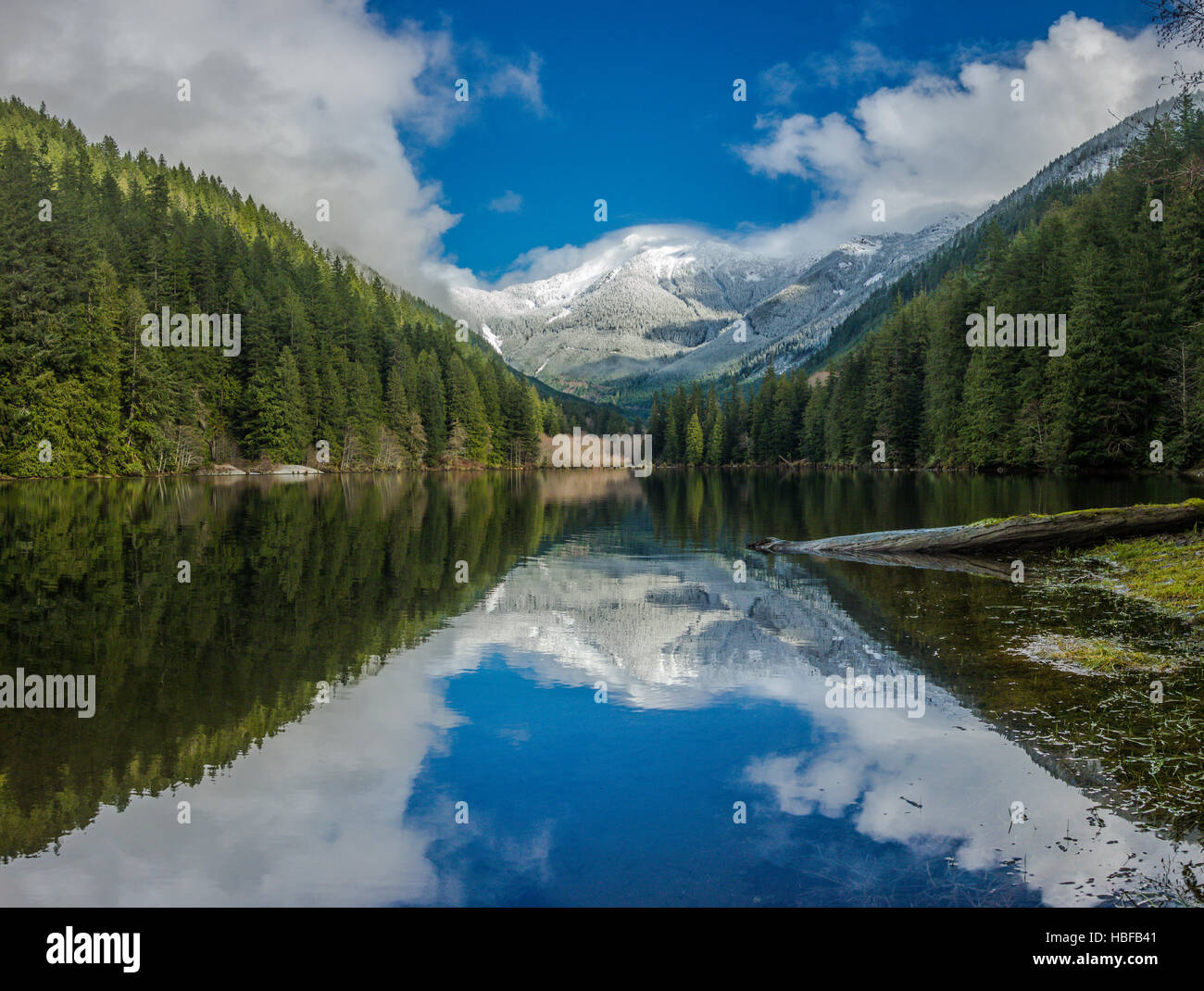 Una bella montagna e riflessione di foresta nel lago di Foley, British Columbia Foto Stock