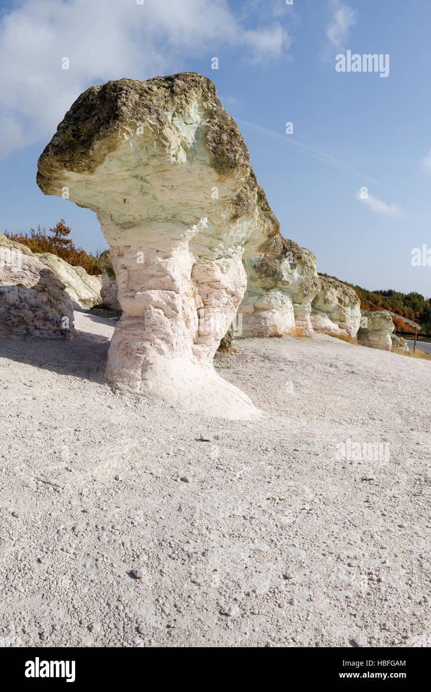 La formazione di roccia di funghi di pietra o 'Kamennite gabi' landmark in montagna Rhodope, Bulgaria, copia dello spazio sul fondo Foto Stock