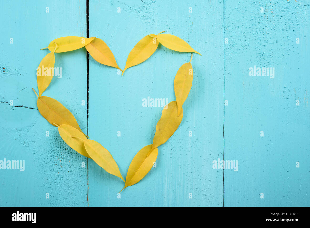 Forma di cuore giallo Foglie di autunno sul turchese tavolo in legno Foto Stock