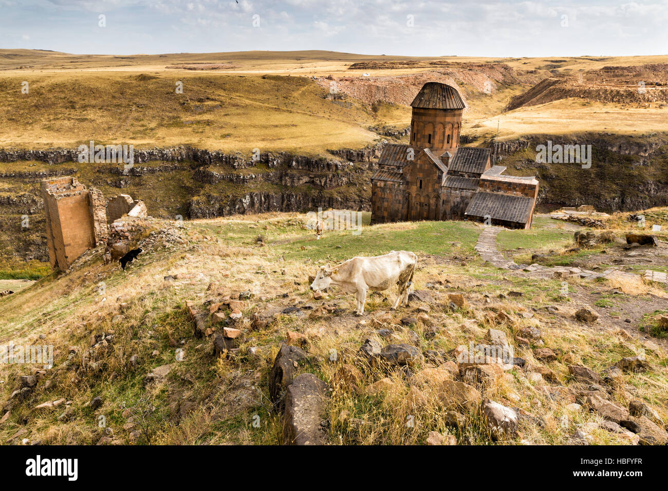 Vista di San Gregorio di Tigran Honents in Ani. Ani è un rovinato medievale città armena situato in Kars, Turchia. Foto Stock