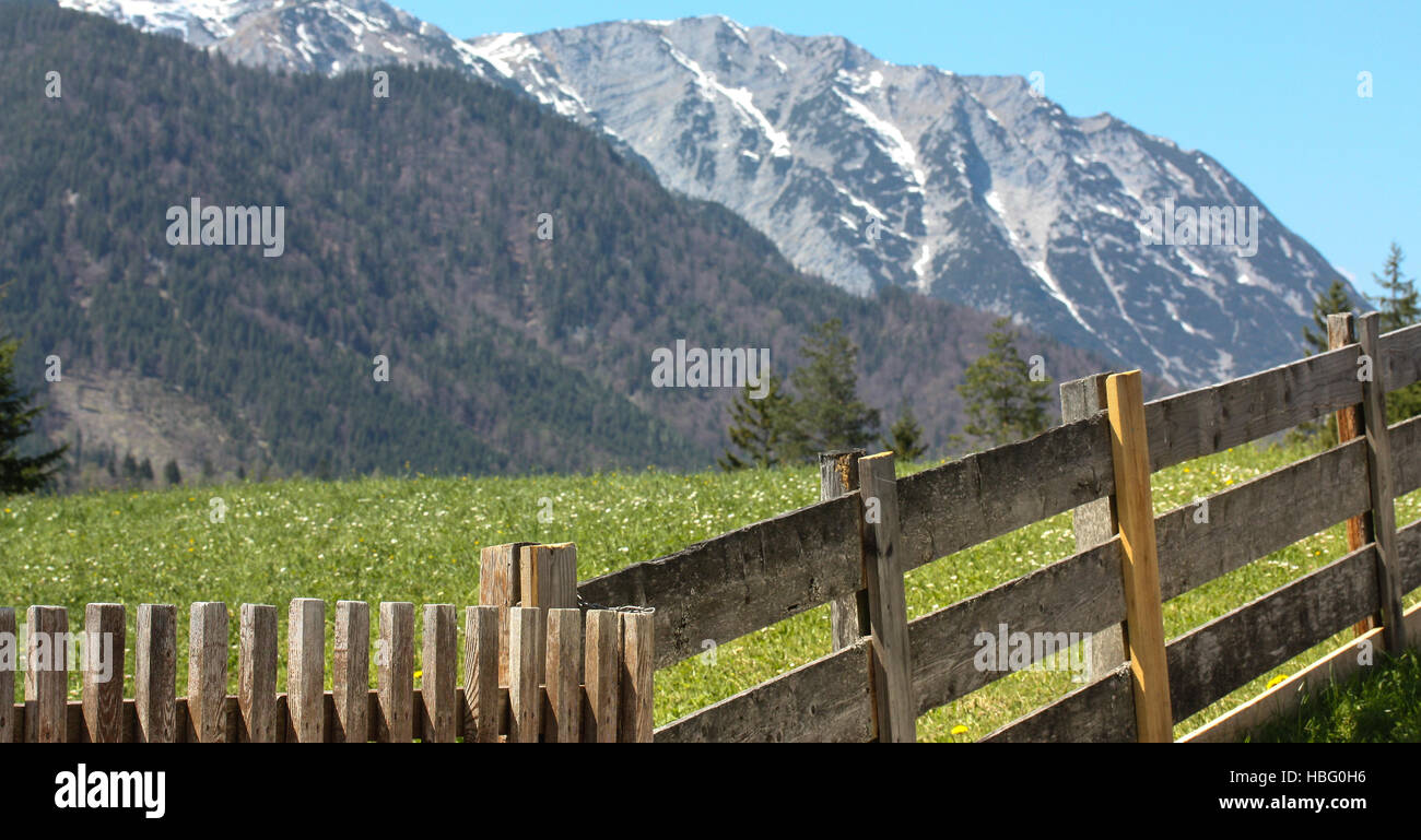 Una vista in una vallata austriaca nelle Alpi. Foto Stock