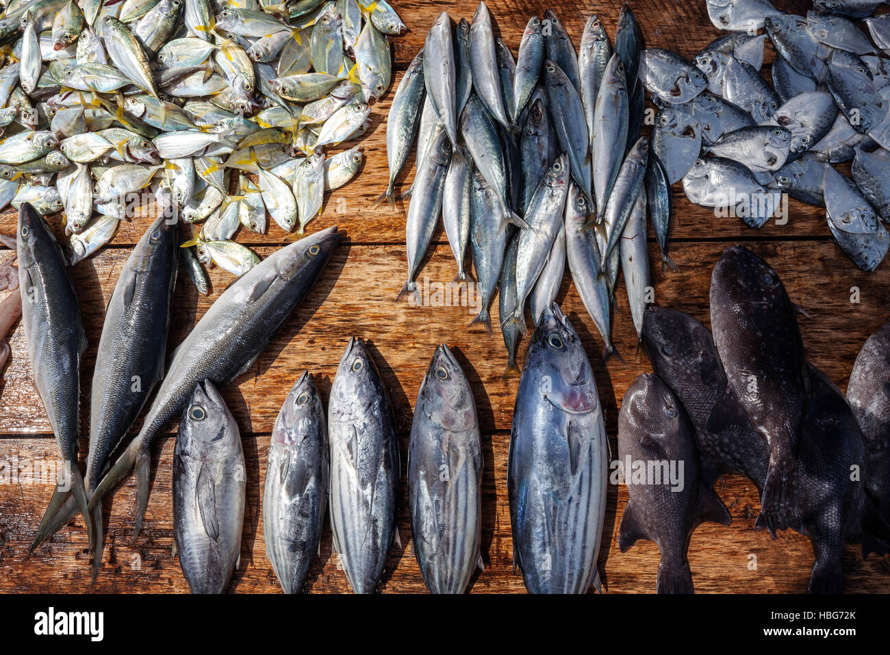 Pesce fresco sul tavolo per la vendita, Weligama, sud della provincia, Sri Lanka Foto Stock