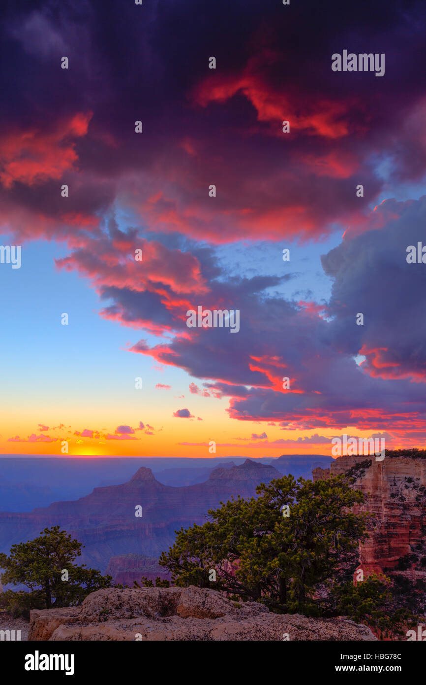 Il Grand Canyon, tramonto, rosso brillante nuvole, North Rim, il Parco Nazionale del Grand Canyon, Arizona, Stati Uniti d'America Foto Stock