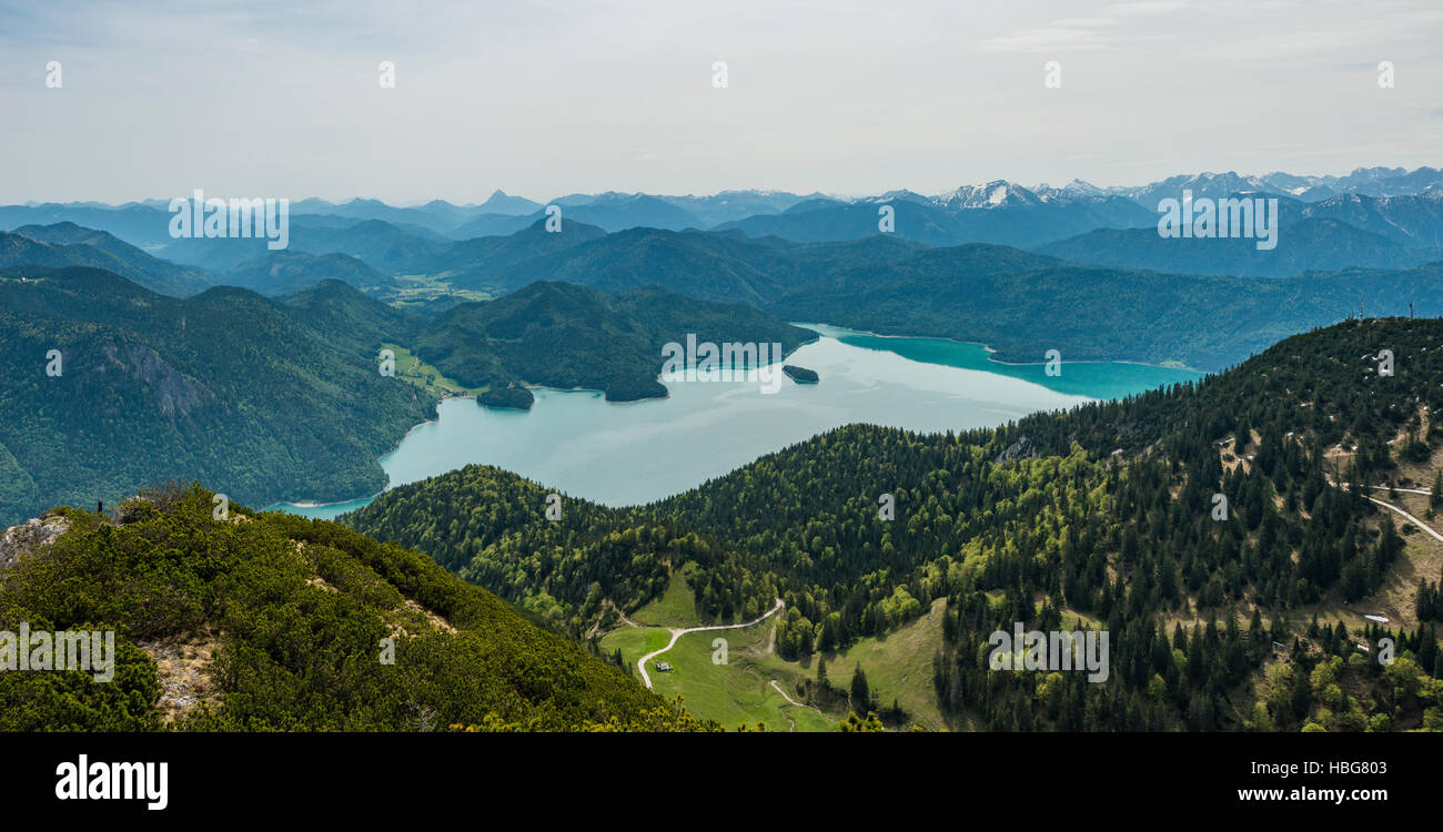 Vista sul lago di Walchen e Alpi dal picco Herzogstand, Alta Baviera, Baviera, Germania Foto Stock