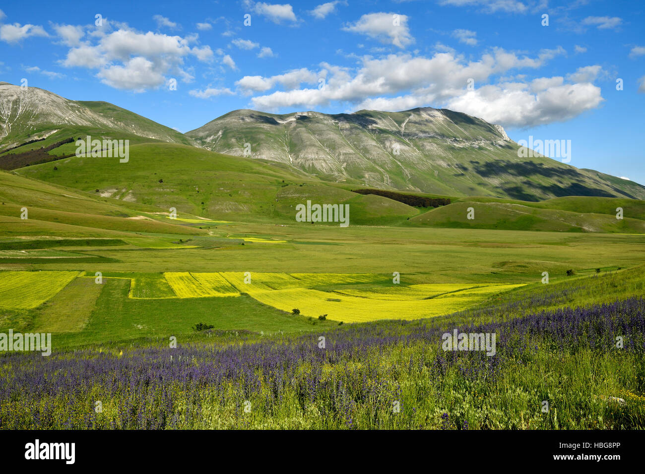 Monte Vettore, Parco Nazionale dei Monti Sibillini, Provincia di Perugia, Umbria, Italia Foto Stock