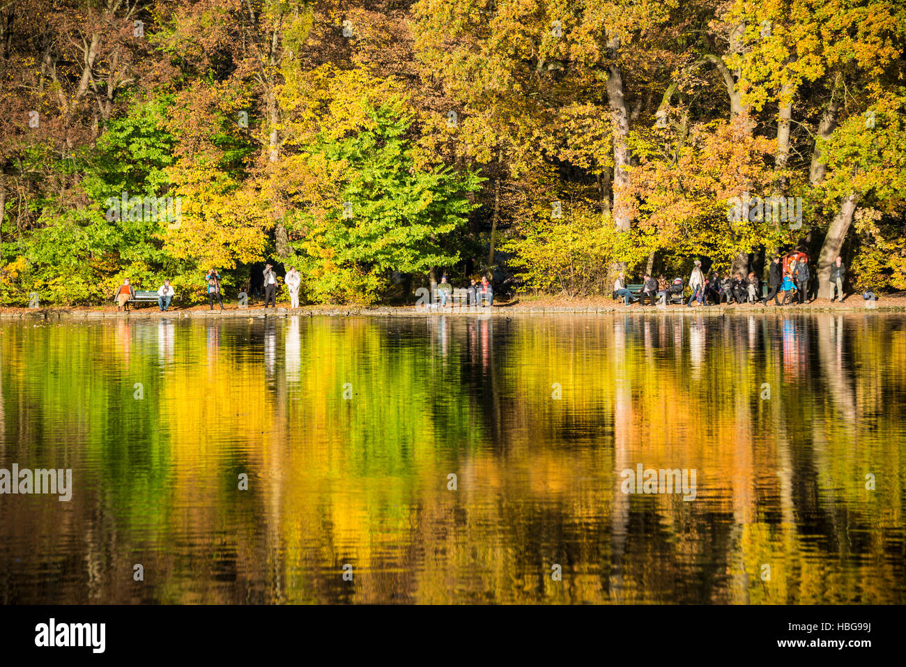 Alberi con foglie di autunno si riflette nel lago Burger, il giardino del castello e parco di Nymphenburg, Monaco di Baviera, Baviera, Germania Foto Stock