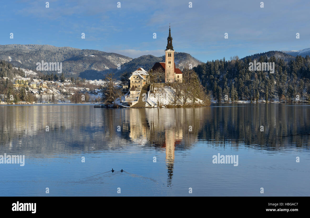 Il lago di Bled all'alba, le Alpi Giulie, Slovenia Foto Stock