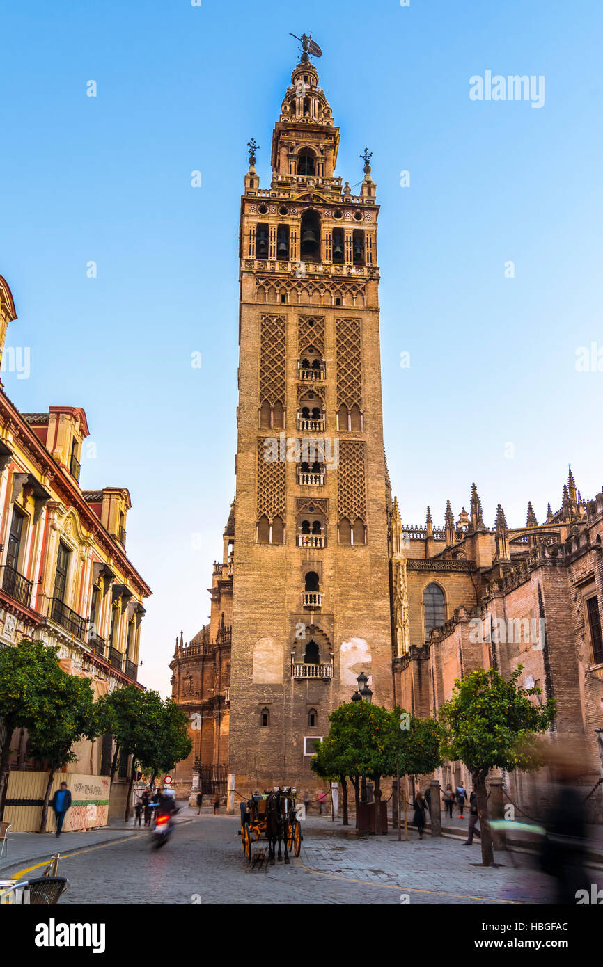 Torre Giralda,Siviglia, in Andalusia, Spagna Foto Stock