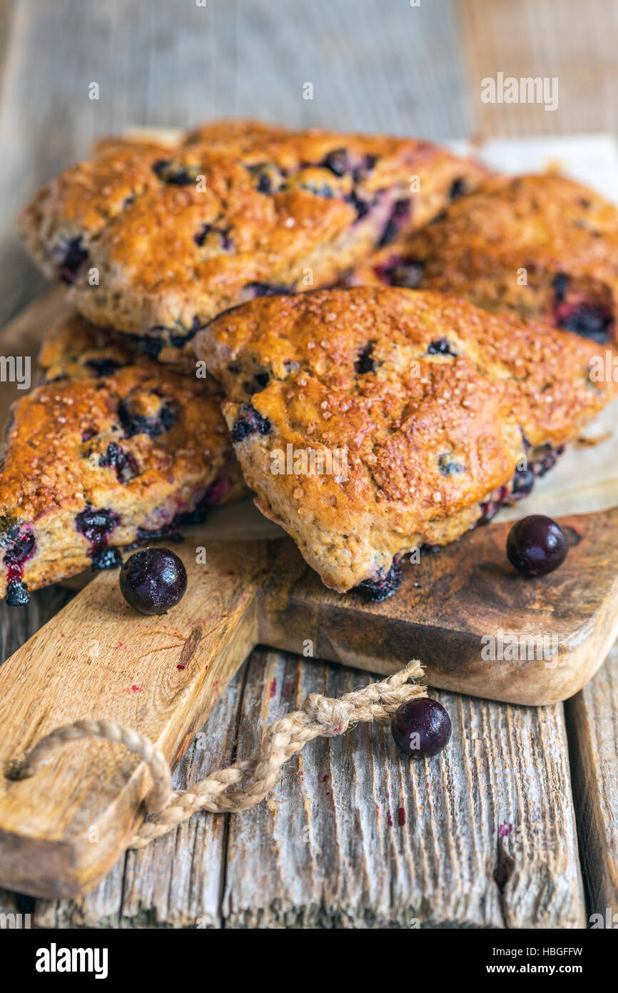 Inglese focaccine fatte in casa con blackberry. Foto Stock