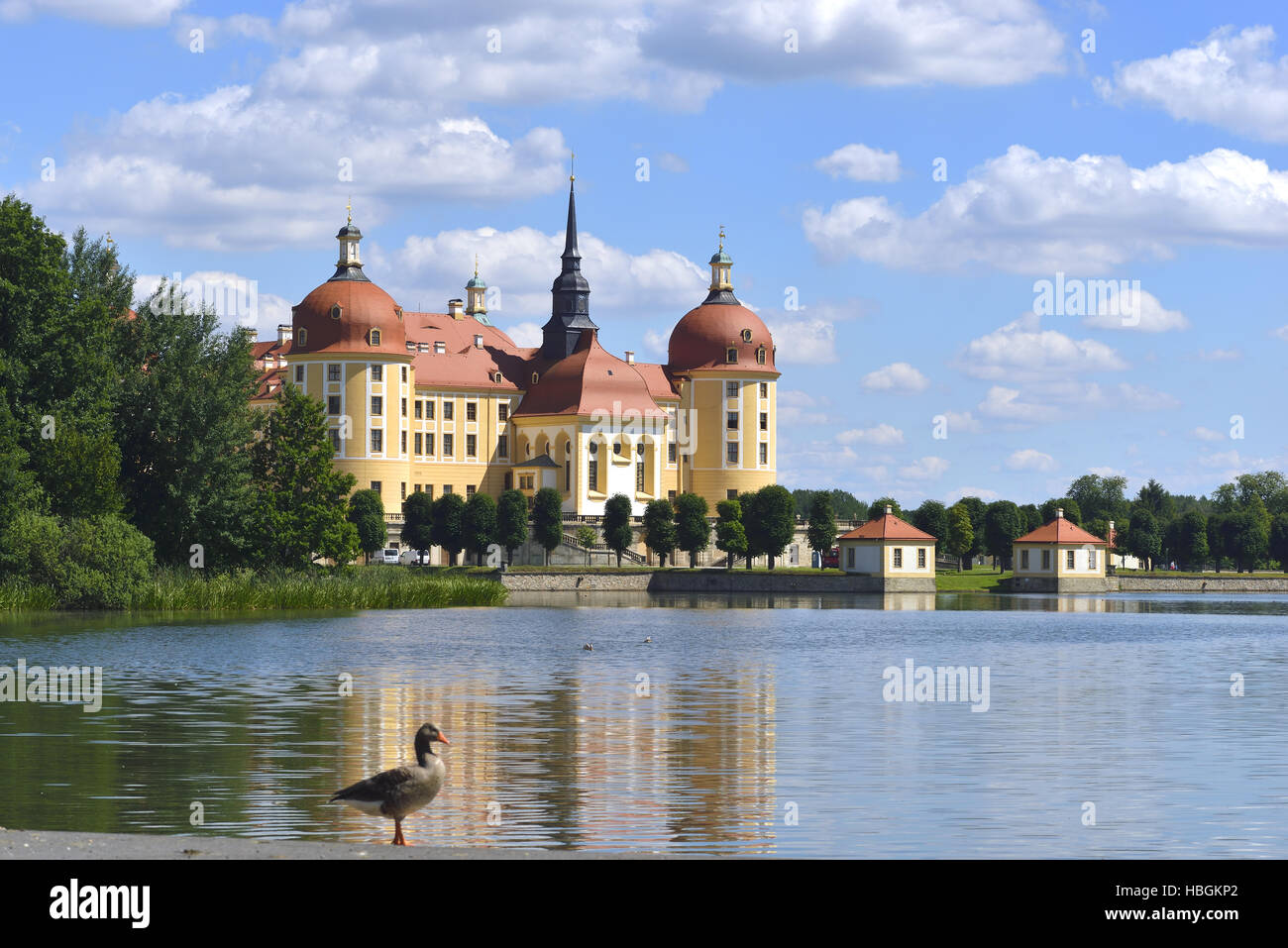 Castello Di Morzburg Vicino a Dresda in Sassonia Immagine Stock