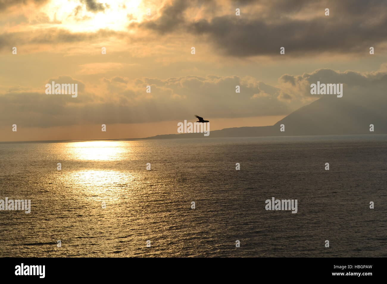 Bird volare sopra l'oceano pacifico (foto scattata a Antofagasta, Cile). Foto Stock
