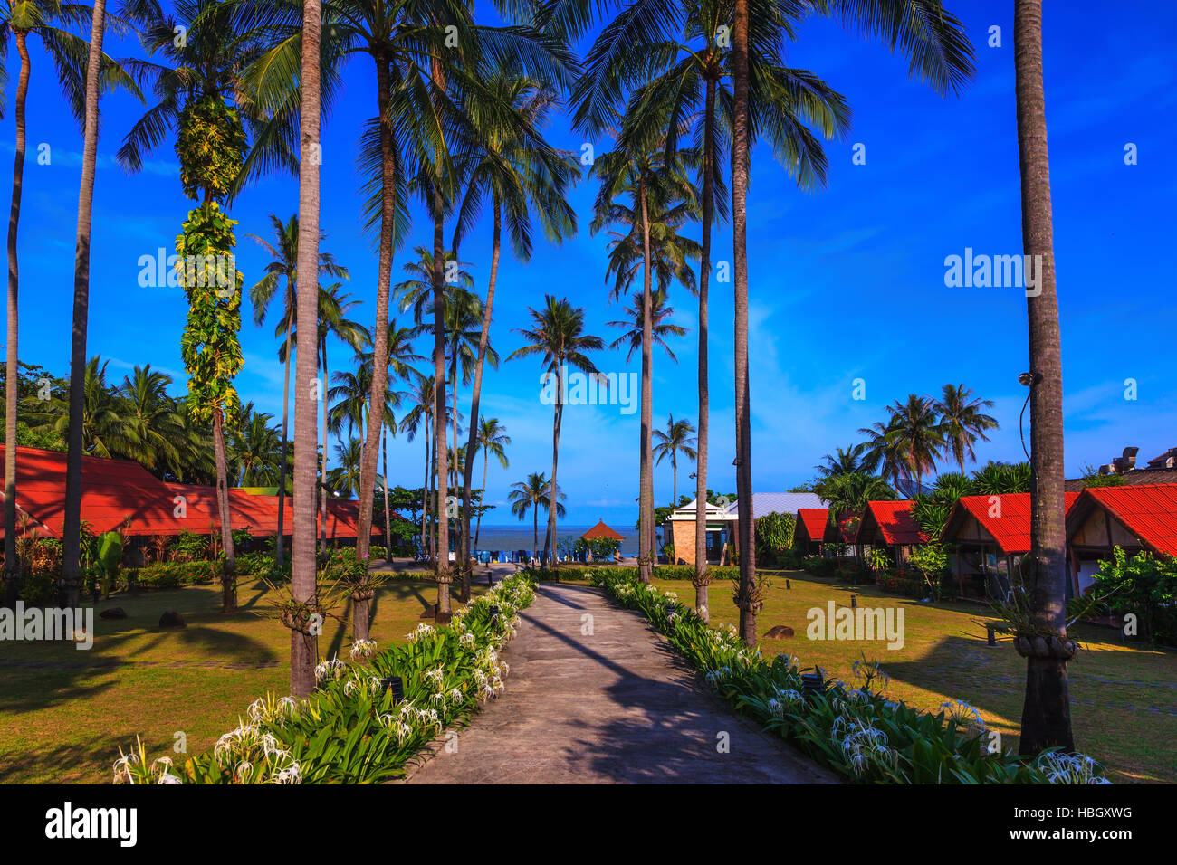 La passerella è circondato da alberi di palma Foto Stock