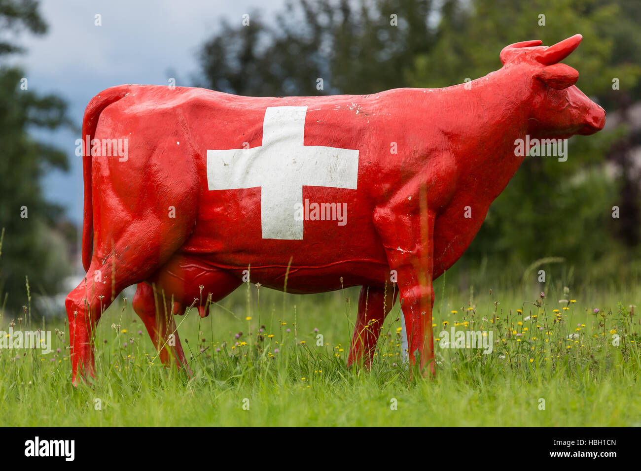 Red vacca da latte con la croce svizzera Foto Stock