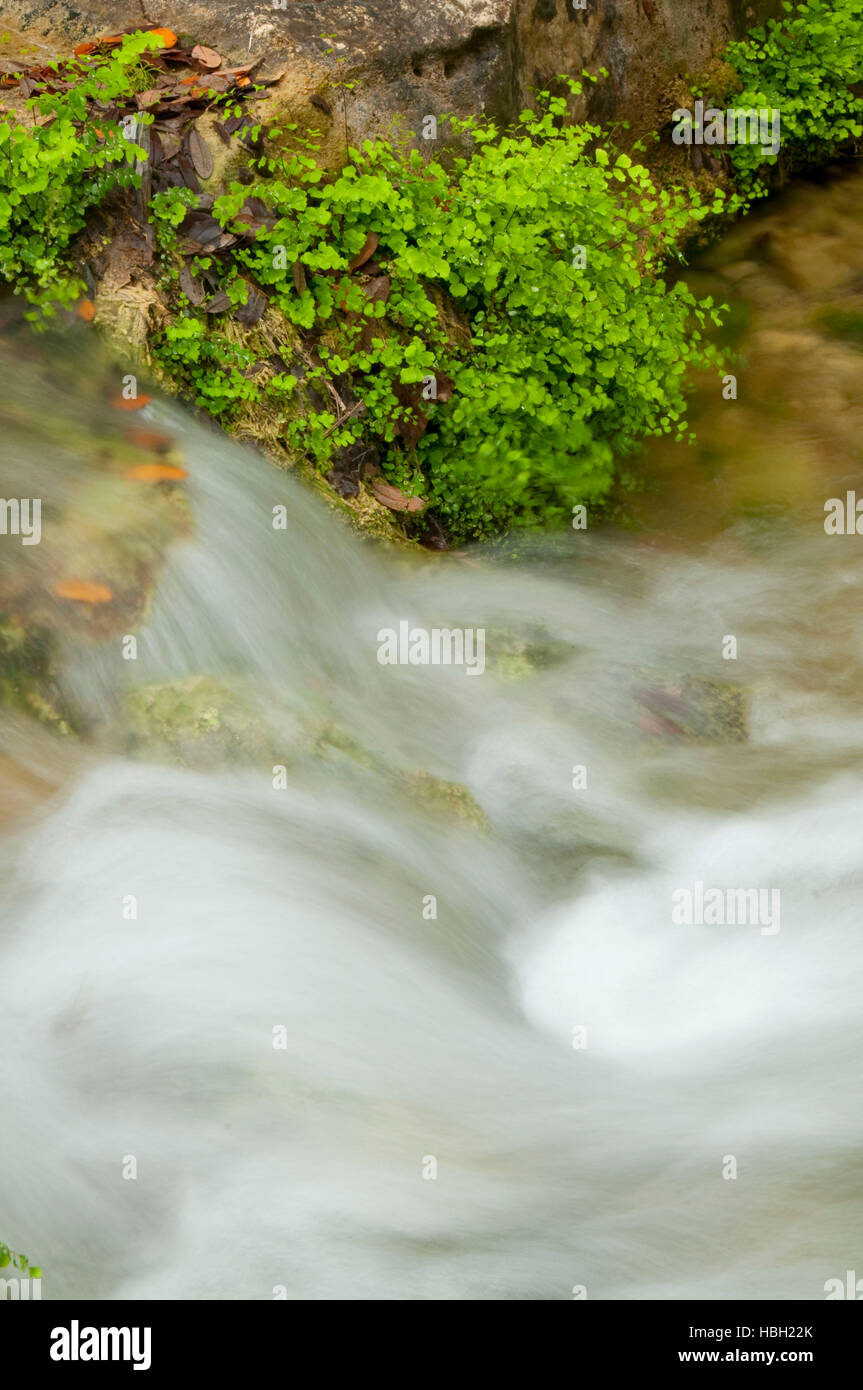 Ramo Doeskin Creek cascata, Doeskin Ranch UnitBalcones Canyonlands