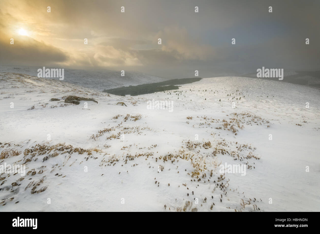 Neve in Wicklow Mountains Foto Stock