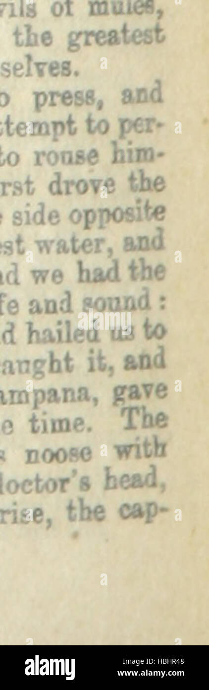 Immagine presa da pagina 306 del 'Dicks' Libreria Inglese di opere standard: contenente ... di romanzi e racconti, ecc (Edito da P. B. San Giovanni.) n. 1-26' immagine presa da pagina 306 del 'Dicks' inglese della libreria Foto Stock