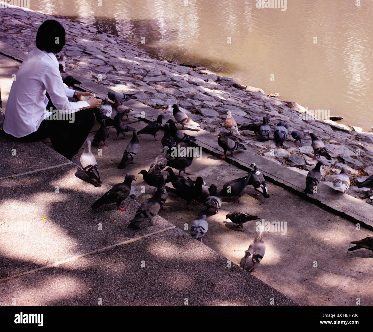 Una università di Chulalongkorn studente nutre gli uccelli del campus a Bangkok, in Thailandia. Foto Stock