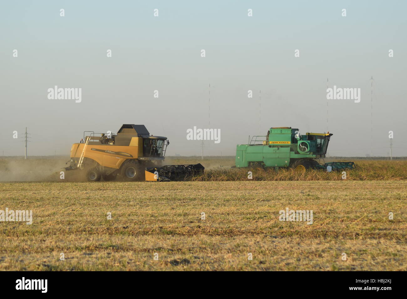 Raccolta della soia da combina nel campo. Foto Stock