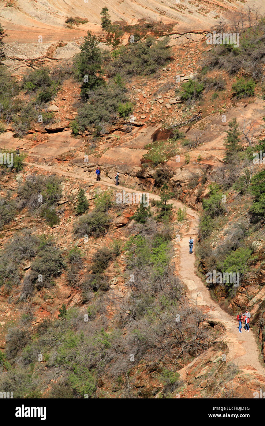 Parco Nazionale di Zion, UT - MARZO 30: Escursionisti fanno la loro strada lungo il popolare ma strenui Hidden Canyon Trail. Foto Stock