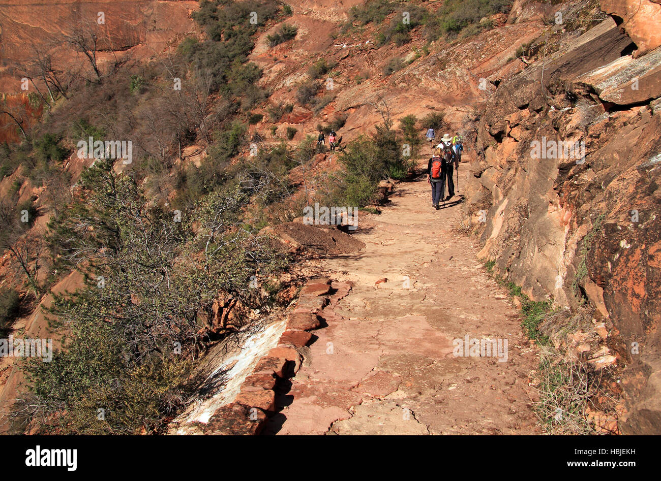 Parco Nazionale di Zion, UT - MARZO 30: Escursionisti fanno la loro strada lungo il popolare ma strenui Hidden Canyon Trail. Foto Stock