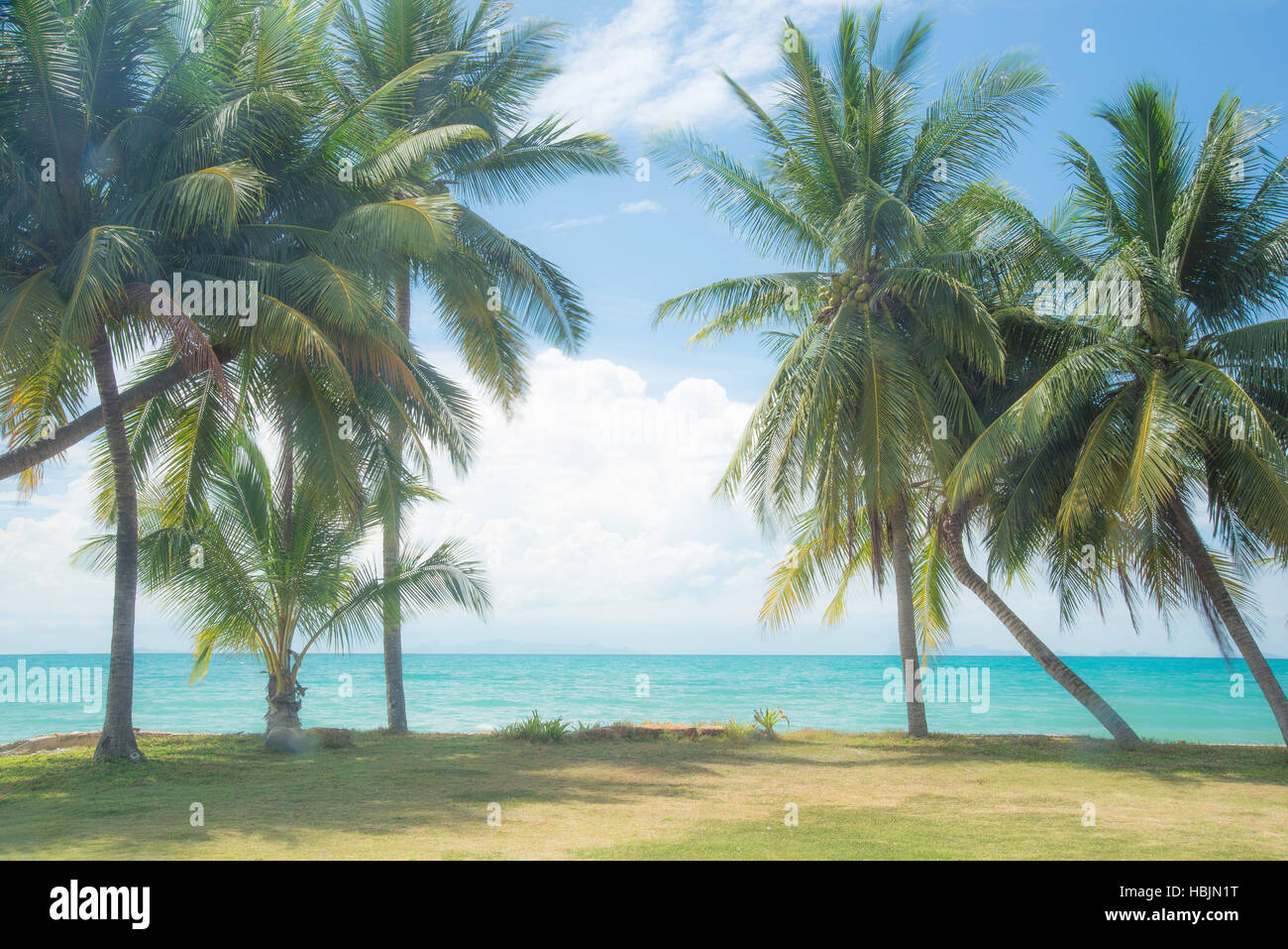 Paesaggio incantevole fotografia di paesaggio balneare con palme, cielo blu e acque limpide. Preso in Asia destinazione per le vacanze dell'isola di Samui, Thailandia. Foto Stock