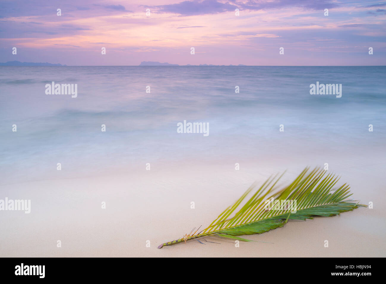 Un unico albero nudo e filiali dall'oceano con cielo blu e acqua pura in uno stile minimalista e semplice composizione della Thailandia mare. Foto Stock