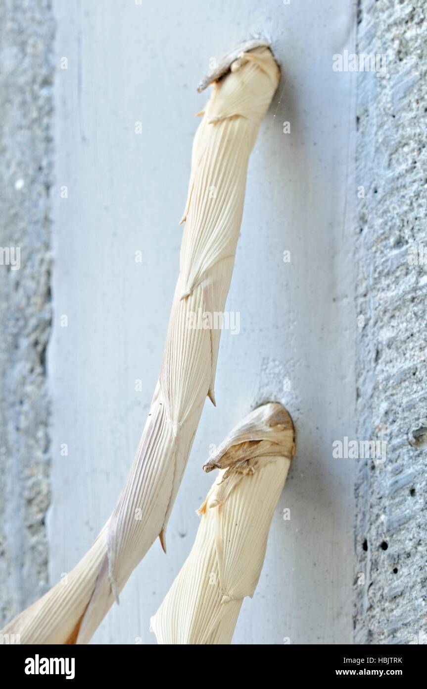 Il bambù piercingly Foto Stock
