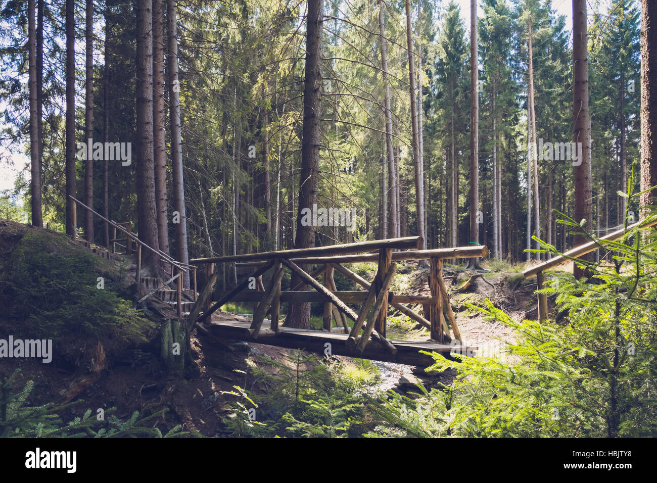 Ponte di legno in una foresta Foto Stock
