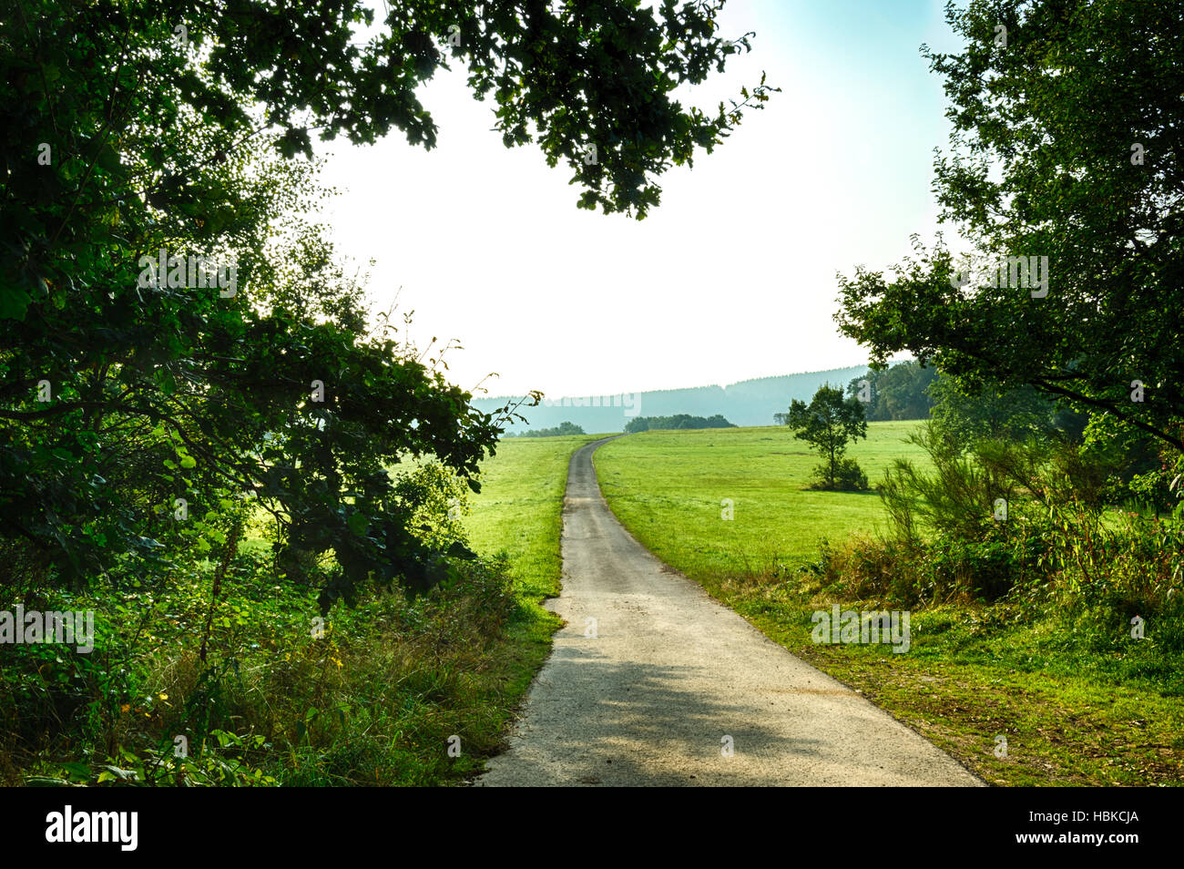 Strada nel sole al mattino Foto Stock