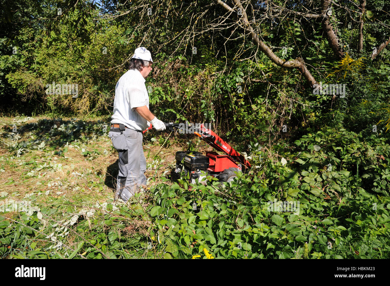 Prato falciatura con barra falce falciatrice Foto Stock