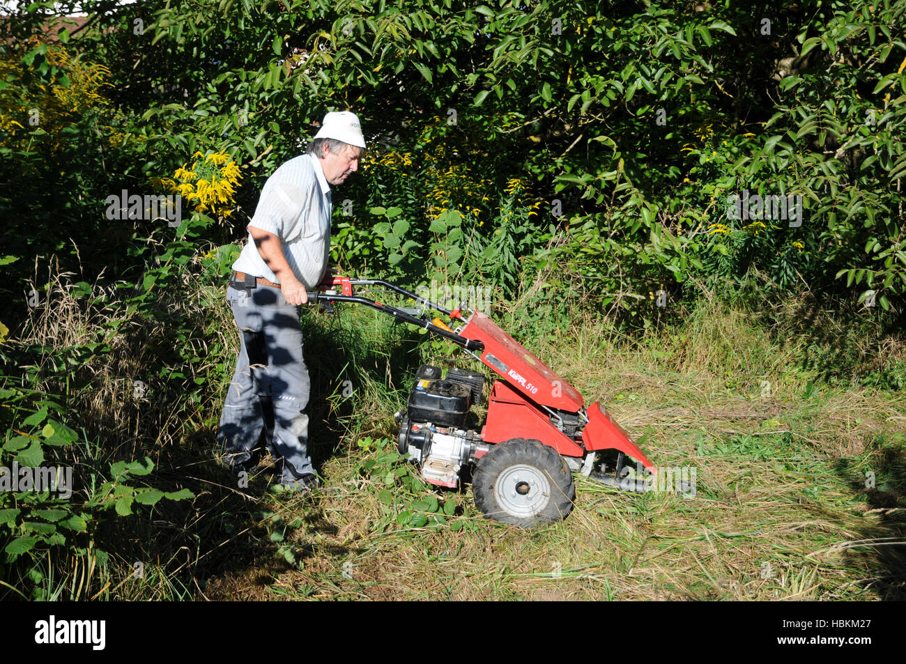Prato falciatura con barra falce falciatrice Foto Stock