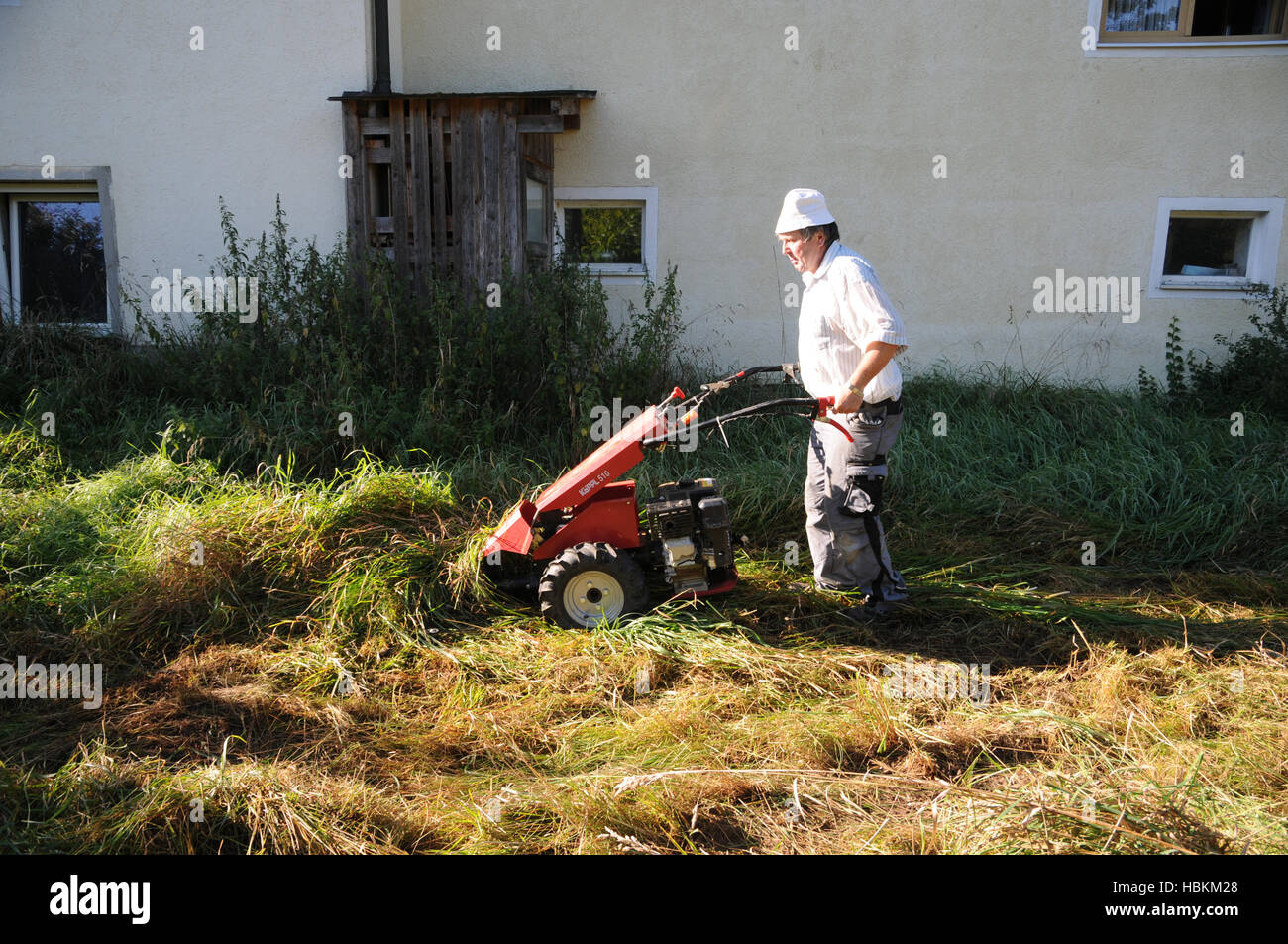 Prato falciatura con barra falce falciatrice Foto Stock
