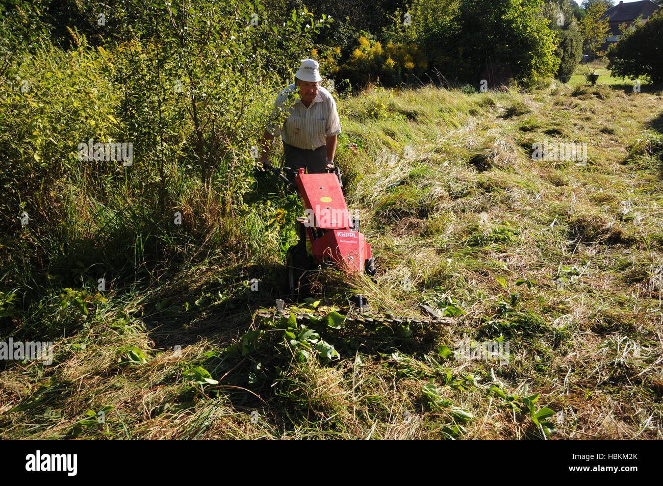 Prato falciatura con barra falce falciatrice Foto Stock