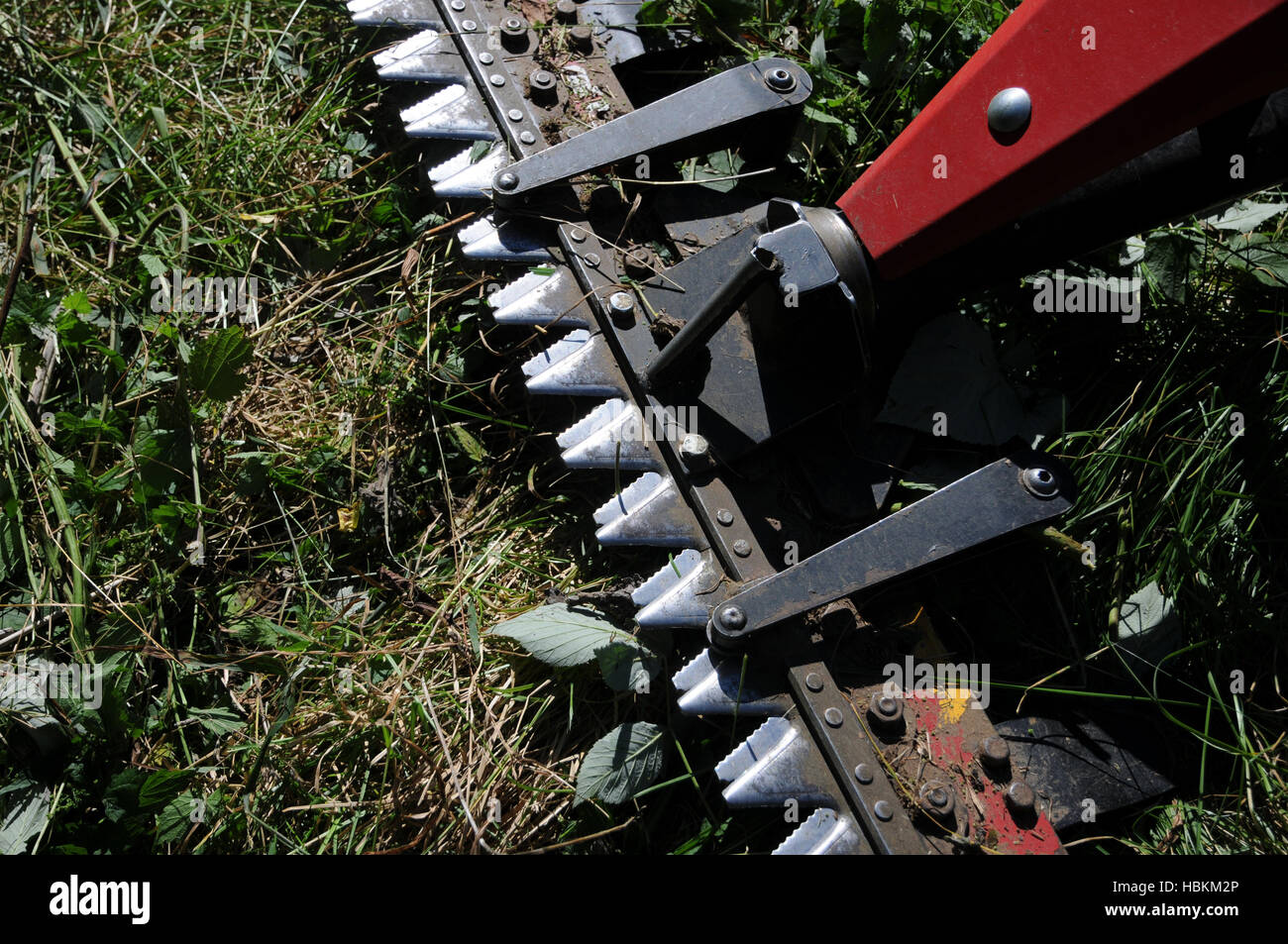 Barra falce falciatrice Foto Stock