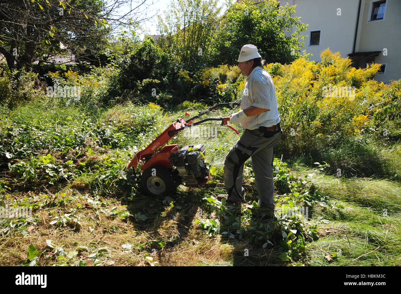 Prato falciatura con barra falce falciatrice Foto Stock