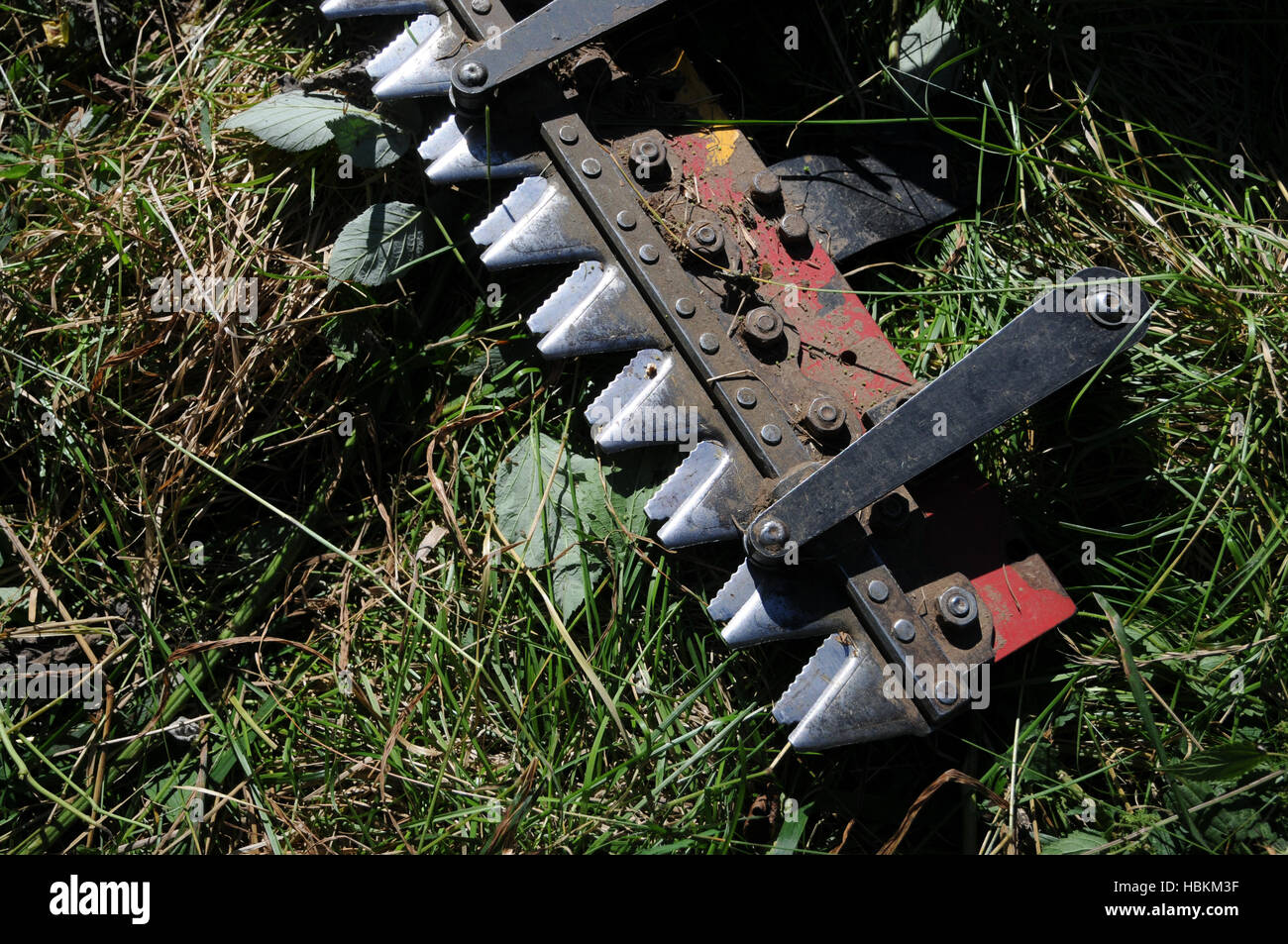 Barra falce falciatrice Foto Stock