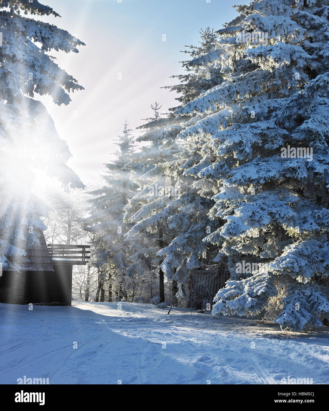 L'inverno del racconto Foto Stock