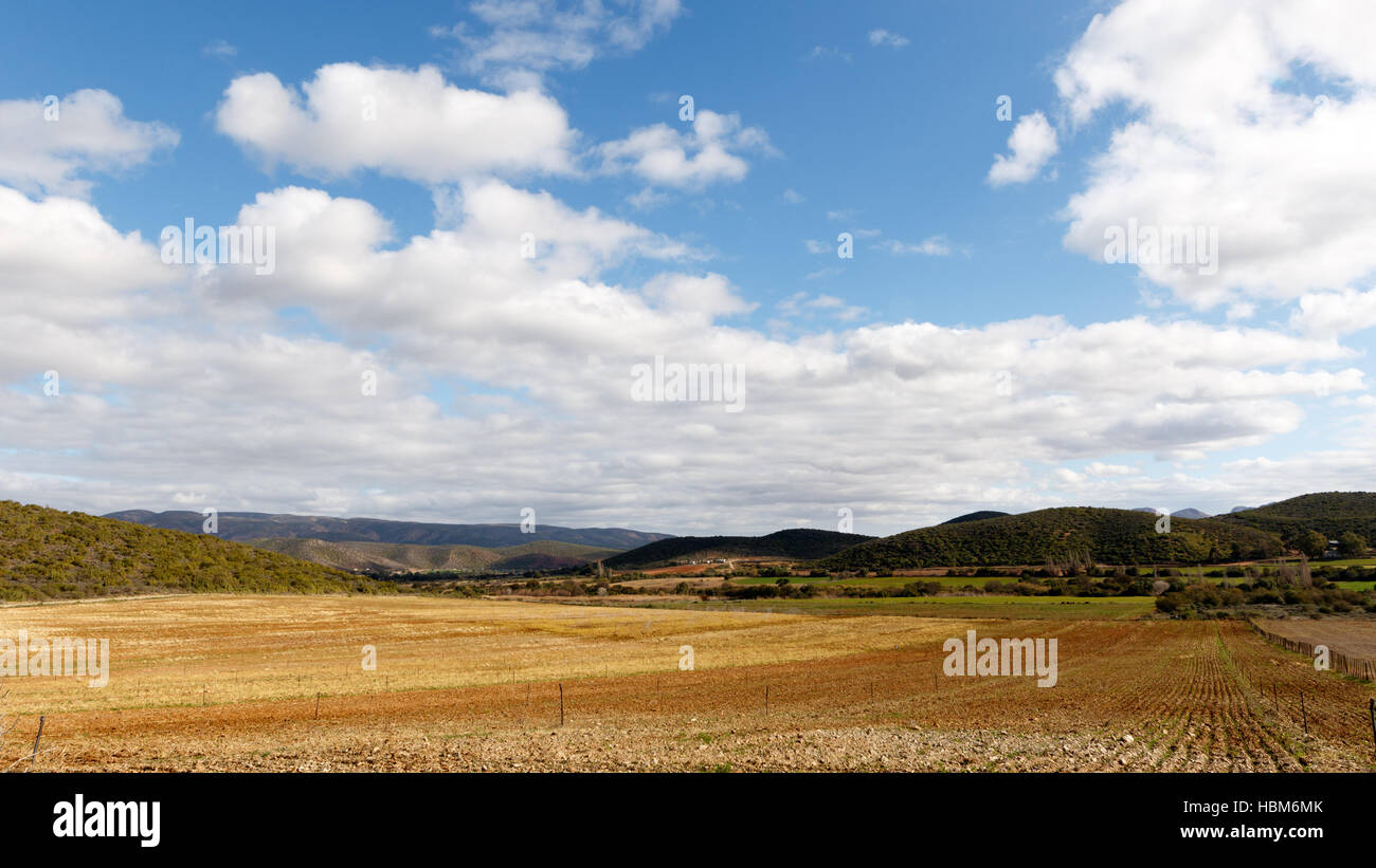 Paesaggio nuvoloso medio Plaas Sud Africa Foto Stock