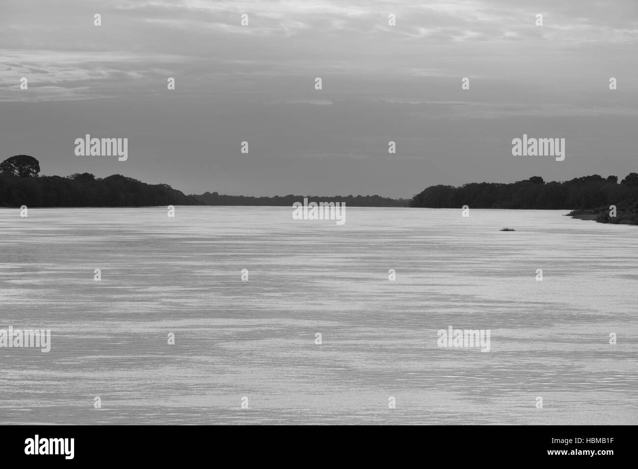 Crociera sul fiume Amazon, nella foresta pluviale, Brasile Foto Stock