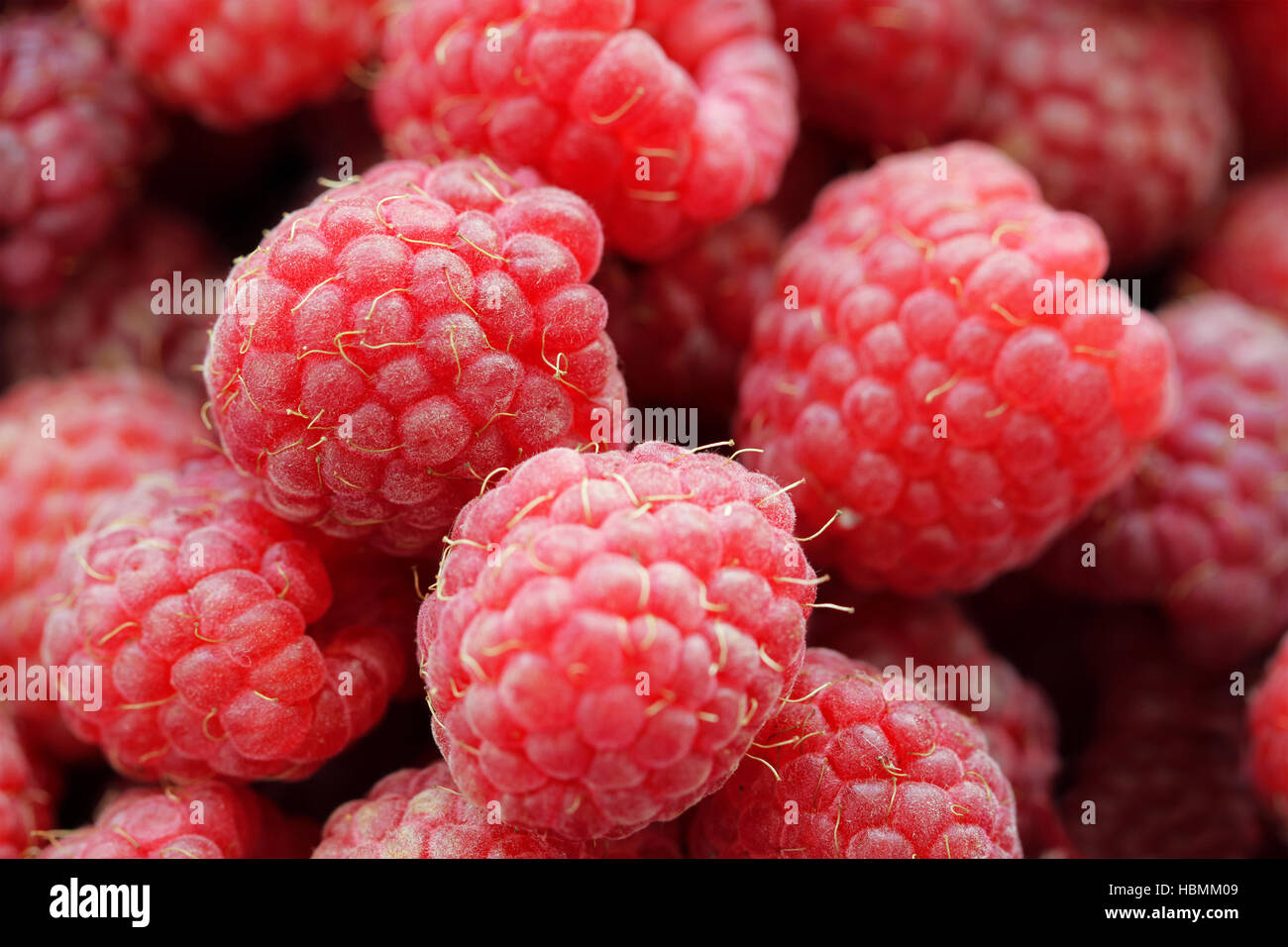 Lamponi cibo gustoso background Foto Stock