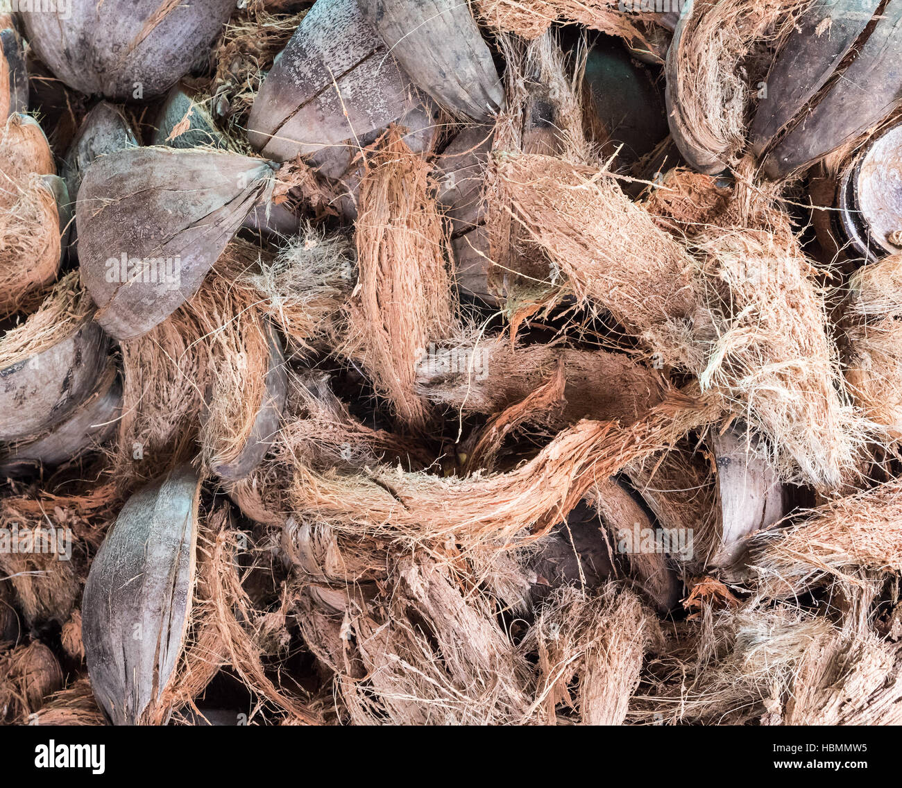 Buccia di cocco pila dalla noce di cocco impianto di trasformazione in Thailandia. Foto Stock