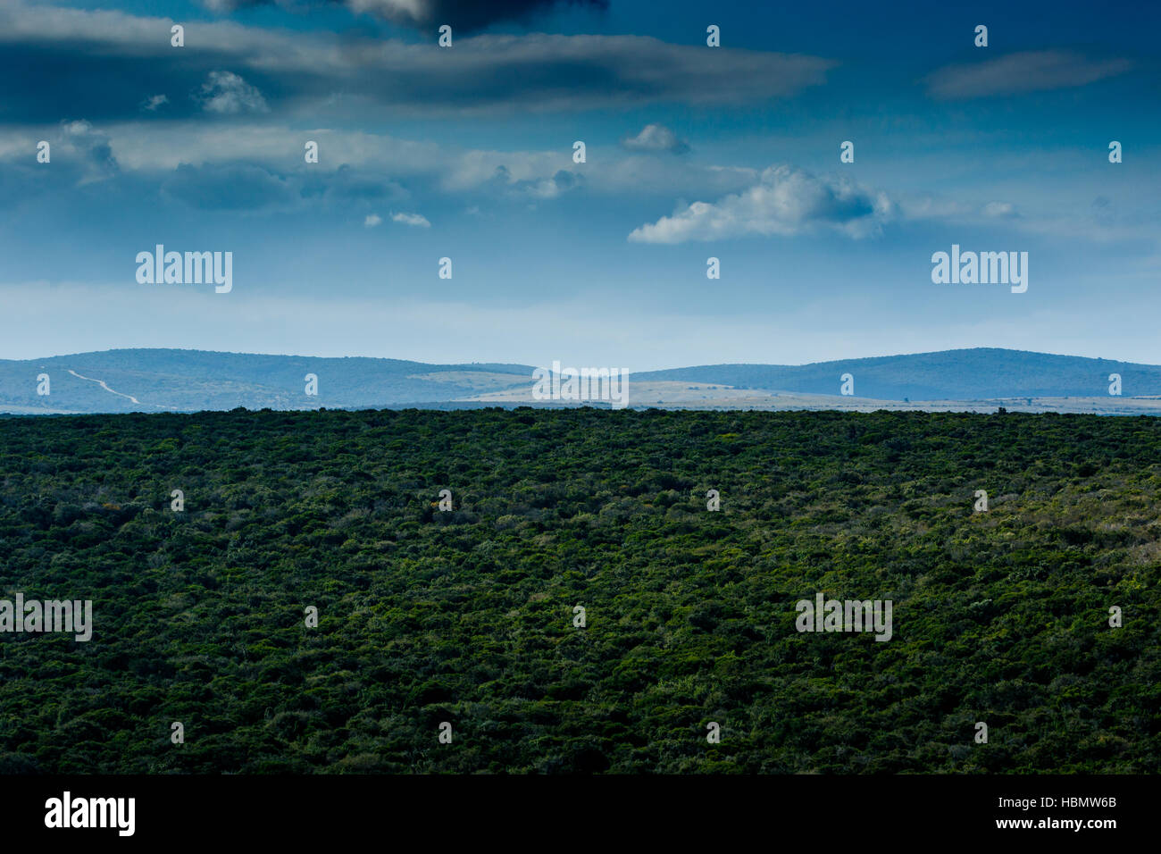 Proprio un bel paesaggio di Addo Foto Stock