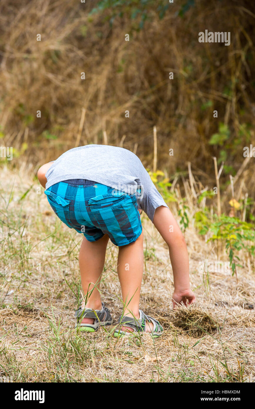 Bambino esplorando la natura al confine con la foresta Foto Stock