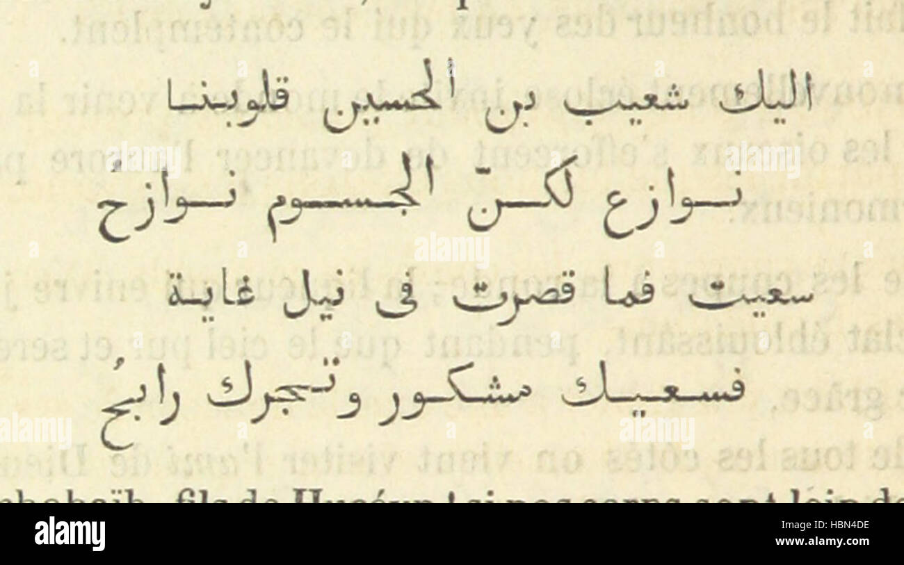 Illustrazione a pagina 312 che mostra la città di Tlemcen, la sua architettura storica, le strade, i mercati, gli edifici religiosi, e il layout urbano come l'ex capitale di un regno regionale. Foto Stock