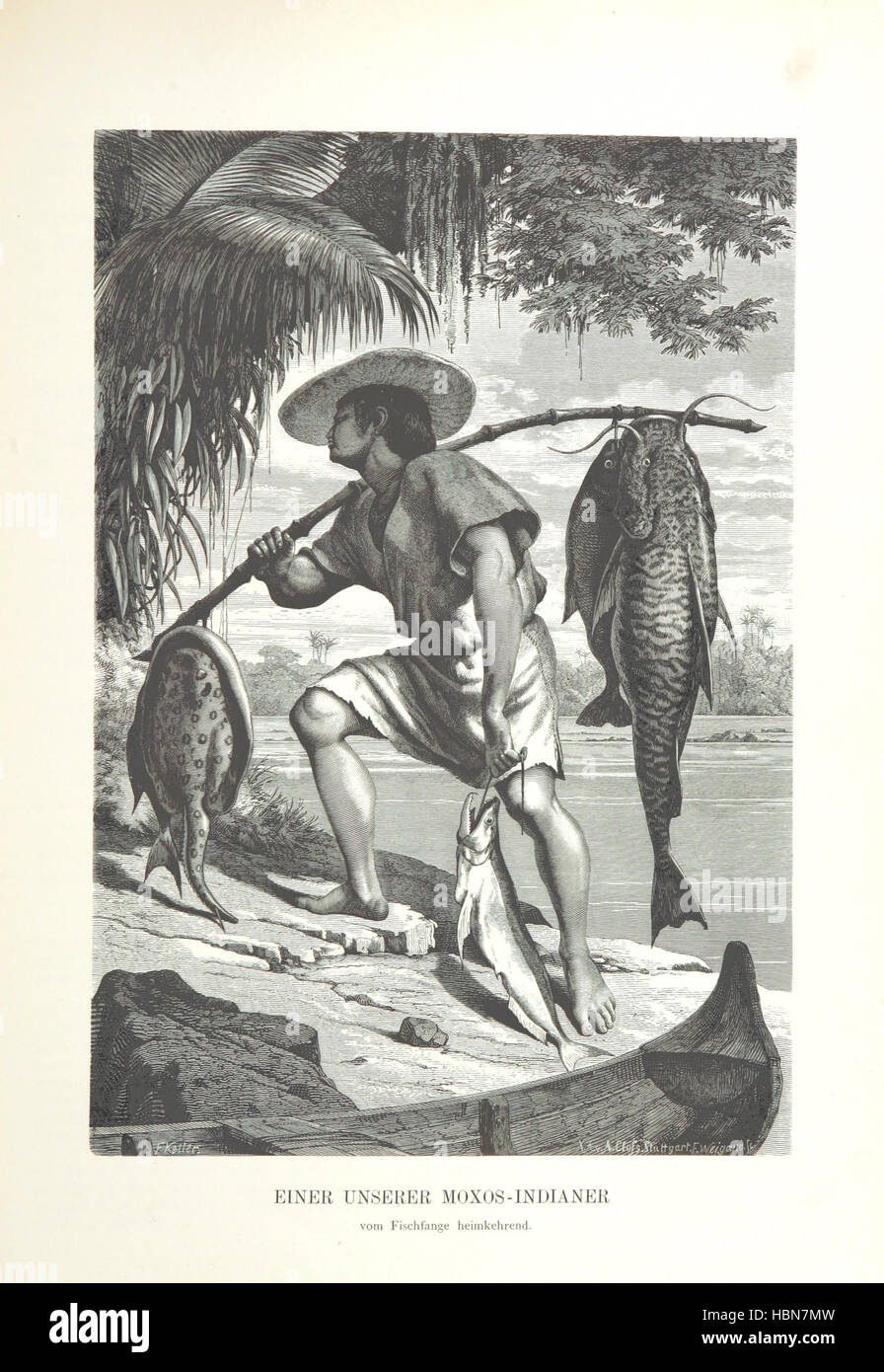 Immagine presa da pagina 105 di 'Vom Amazonas und Madera. Skizzen und Beschreibungen aus dem Tagebuche einer Explorationsreise ... Mit zahlreichen ... Illustrationen' immagine presa da pagina 105 di 'Vom Amazonas und Madera Foto Stock