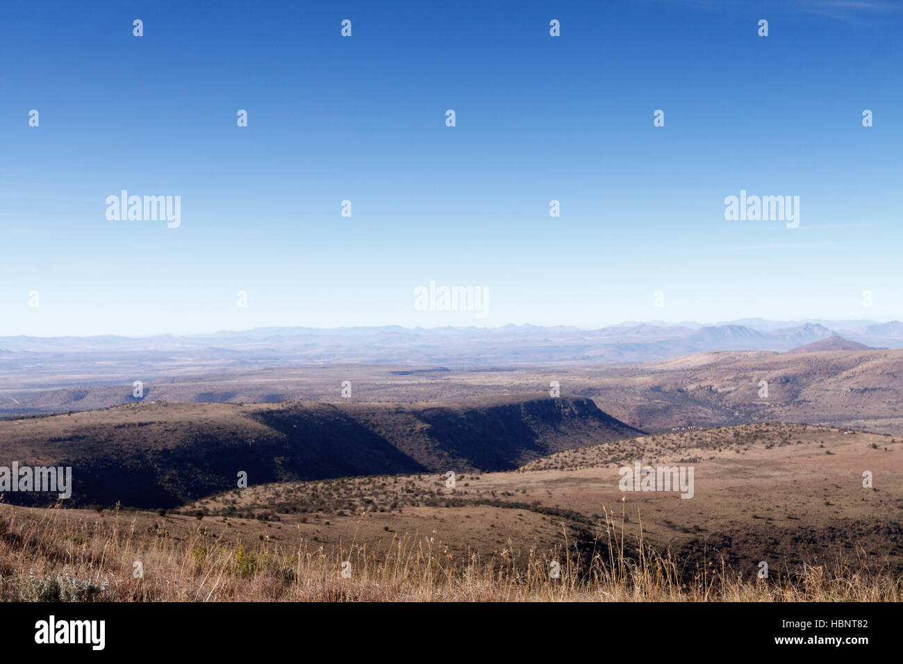 Bellissima valle verde con le montagne Foto Stock