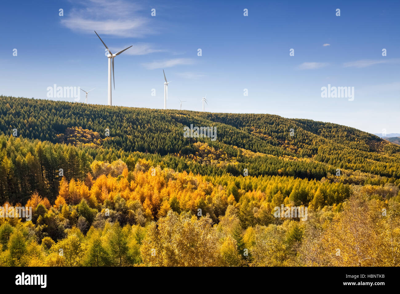 Wind Farm in autunno Foto Stock