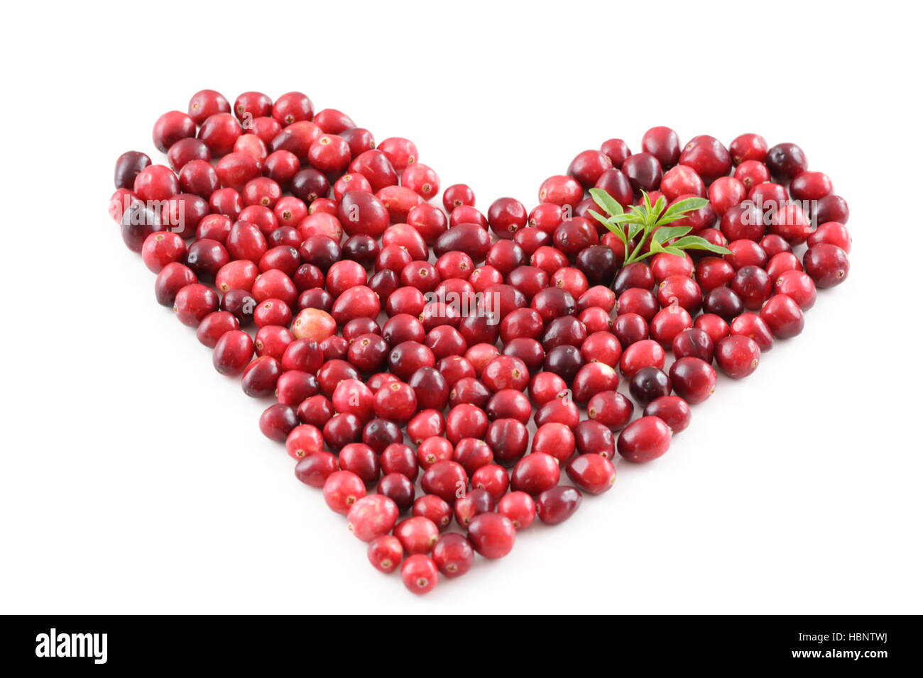 Mirtilli rossi Foto Stock