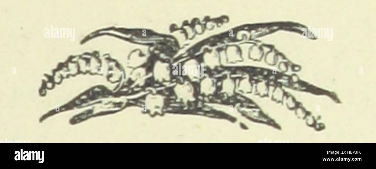Immagine presa da pagina 73 di "In comunione; o, le possibilità di influenza. [Una storia.] dall'autore di "fratellanza".' immagine presa da pagina 73 di "In comunione; o il Foto Stock